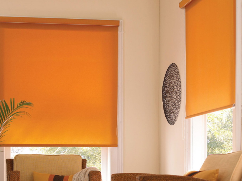 Persianas Roller shades screen