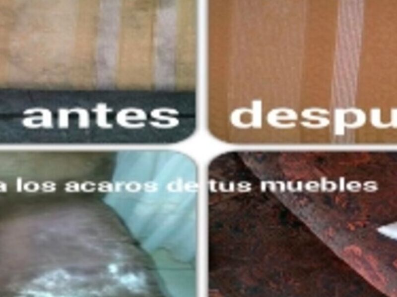 Lavado de muebles Limpieza