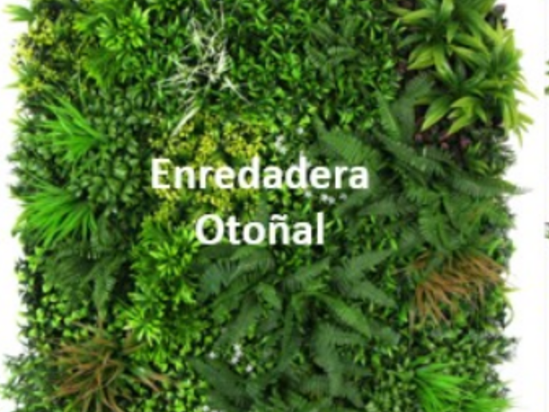 Follaje artificial Enredadera Otoñal