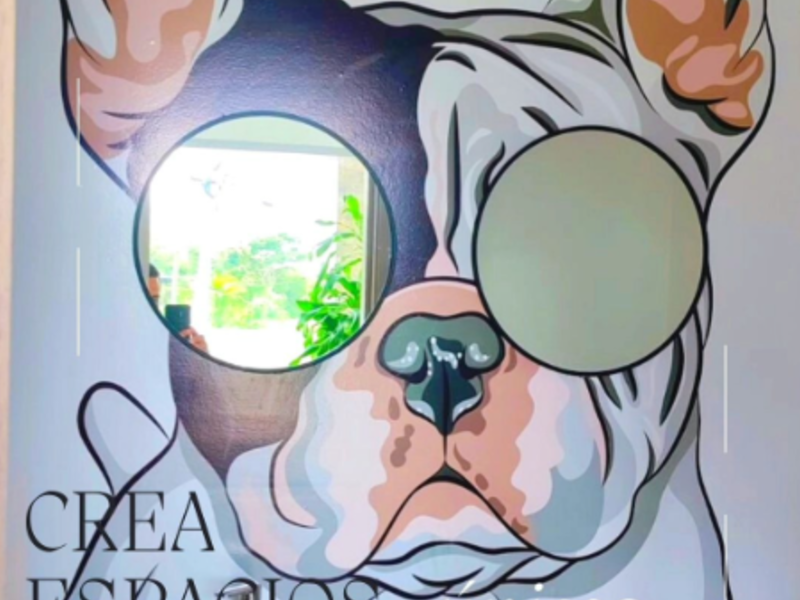 Diseño Espejos Medida Distrito Boquete