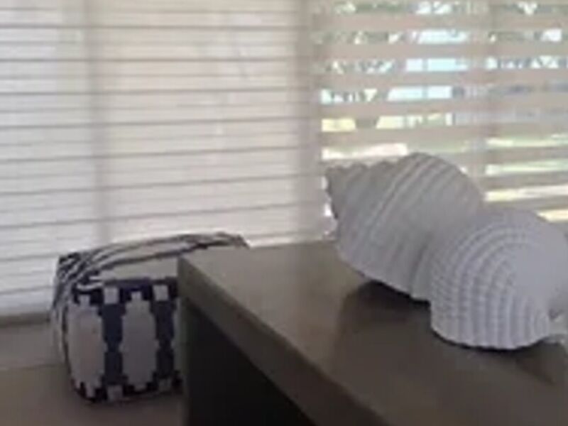 Sheer Elegance Panama