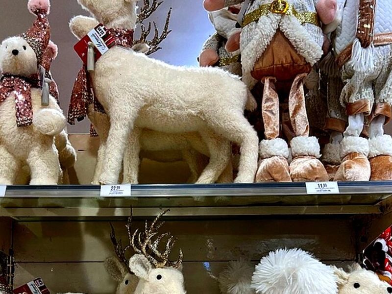 Reno Navideño Panamá