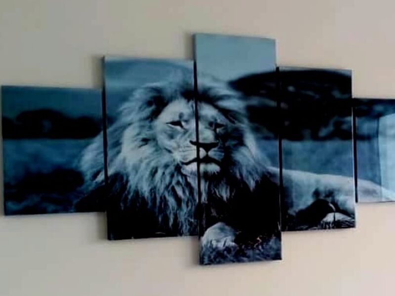 Cuadro León Panamá