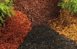 Mulch de Madera